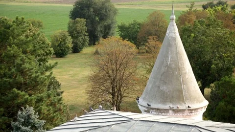 The Highest Tower Of The Castle And A View Of The Forest Stock-Footage 96524075