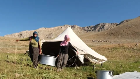 Highland Cheese Making Stock Footage 339224347