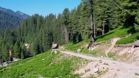 Highland forest off-road trail 스톡 동영상 339128345