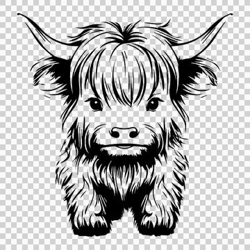 Highland Front View Cattle Silhouette stationary horns fur イラスト素材
