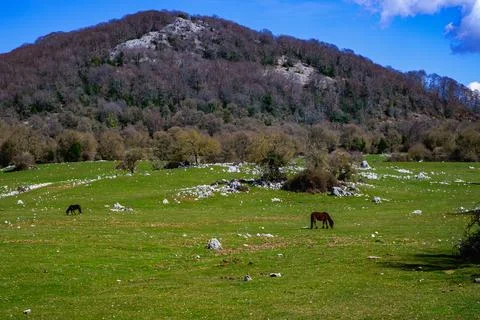 Highland 写真素材