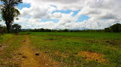 Highland rice paddies 2 Stock Footage 44484073