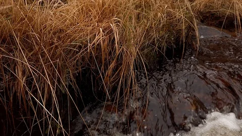 Highland stream Stock Footage 103106196