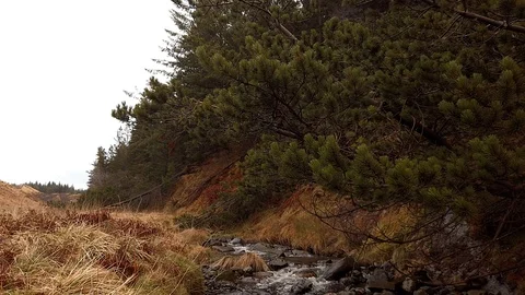 Highland stream Stock Footage 103106225