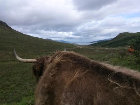 Highlander Stock Photos
