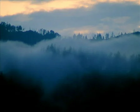 Highlands 009 loop Stock Footage 306393