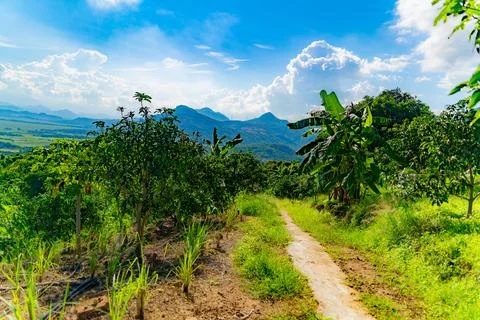 Highlands. 스톡 사진