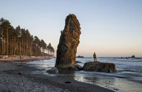A highlight of the Olympic National Park is Ruby Beach. Tourists enjoy the Foto stock