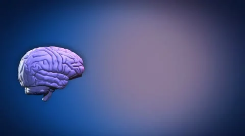 Highlighted BRAIN parts Stock Footage 20465242