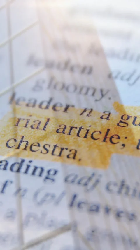 Highlighted dictionary text showing leader definition over building animation Vídeo Stock 341956898