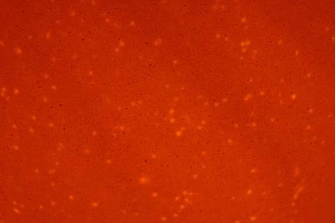 Highlighted egg Foto stock