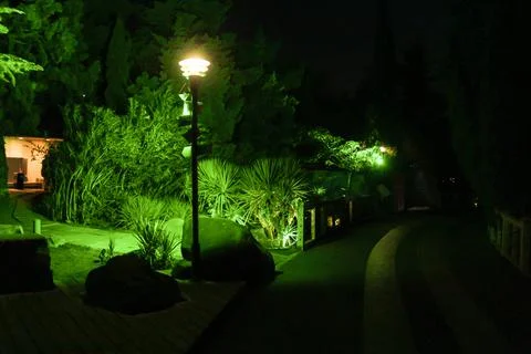 Highlighted plants along the path. Stock Photos
