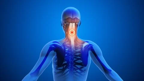 Highlighted Pressure Points for Neck Relief Stock Illustration