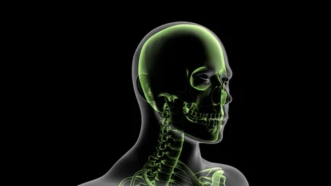 Highlighted Skull Rotation Video stock 112491348