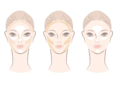 Highlighting and contouring area chart for corrective face shape Stock Illustration