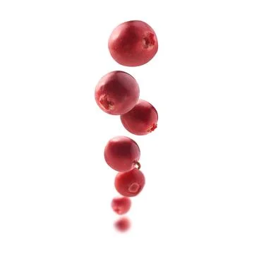 Highlighting berry texture and packaging possibilities visually. An isolated 写真素材