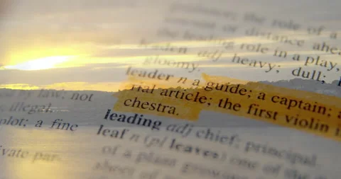Highlighting dictionary definition of leader over sunset landscape animation Stock Footage 303540268