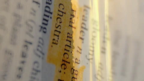 Highlighting dictionary definition of leader over sunset landscape animation Stock Footage 313166721
