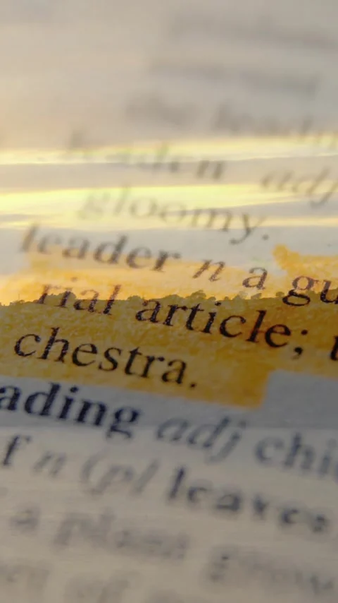 Highlighting dictionary definition of leader over sunset landscape animation Stock Footage 319883149