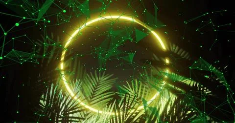 Highlighting glowing neon ring emitting yellow light in studio set, with palm Stock Photos