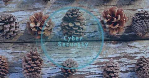 Highlighting pine cone glowing on weathered wood plank, with digital overlay Stock Photos