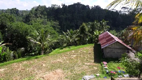 Highlights around Bali 스톡 동영상 100795108