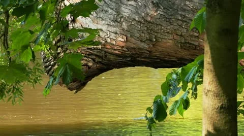 Highlights of water Video stock 11446844