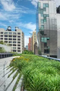Highline in NYC Stock Photos