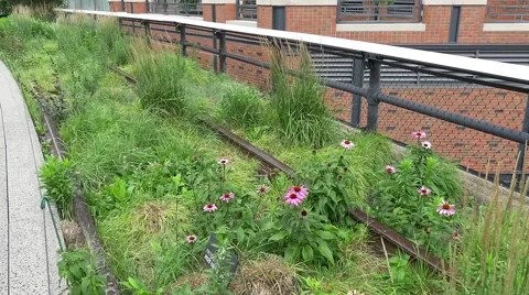 Highline project New York Stock Footage 54807103