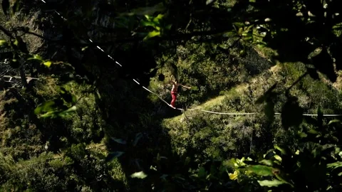 Highline walking on a rope highline on a background of forest and mountains Stock Footage 97408779