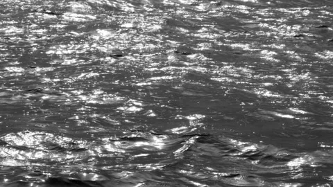 Highly defocused View over calm sea or ocean with beautiful evening sun Stock-Footage 156968913