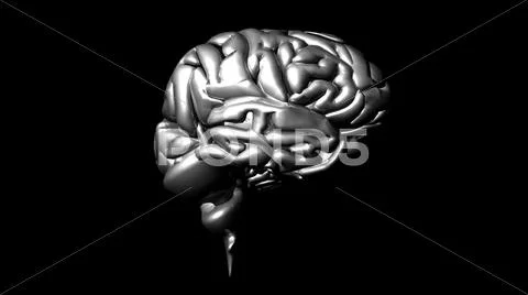 Highly detailed animation of a human brain Stock Illustration