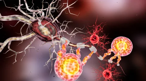 Highly detailed animation of Neuron structure Stock Footage 59794984