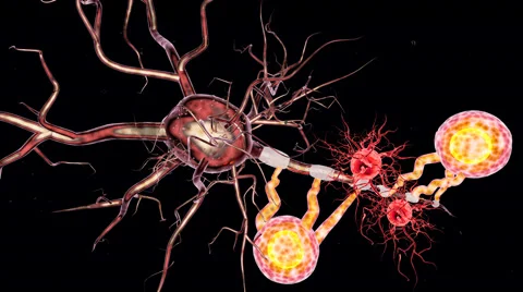 Highly detailed animation of Neuron structure Stock Footage 59854088