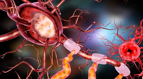 Highly detailed animation of Neuron structure Stock Footage 59854719