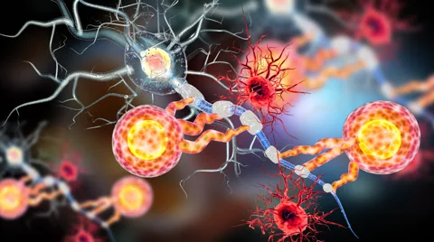 Highly detailed animation of Neuron structure Stock Footage 59863209