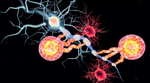 Highly detailed animation of Neuron structure Stock Footage 59863227