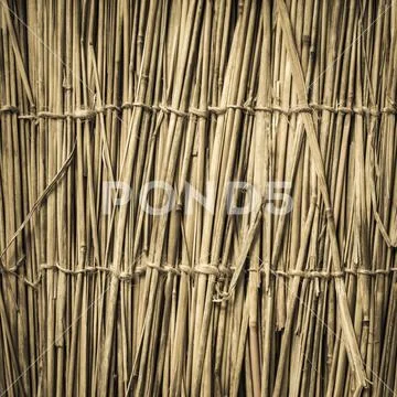 Highly detailed bamboo background. Perfect natural texture. Stock Photos