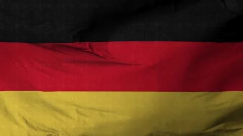 Highly Detailed Fabric Texture Flag Of Germany. 스톡 동영상 264577277