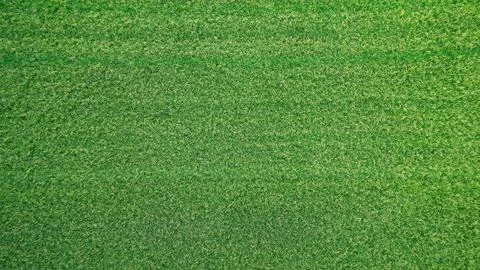 A highly detailed grass texture Stock Photos