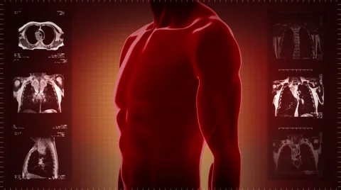 Highly detailed torso scan. Loopable. Blue/white. Red background. Stock Footage 59581668