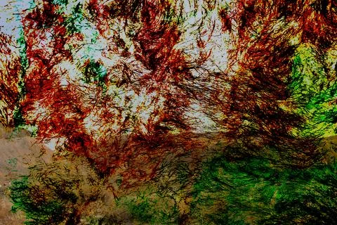 Highly saturated abstract texture with chaotic organic shapes in red, green Stock Photos