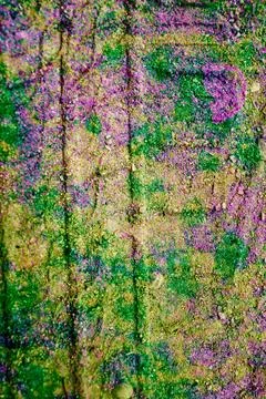Highly saturated abstract texture resembling painted concrete or aged wall Stock Photos
