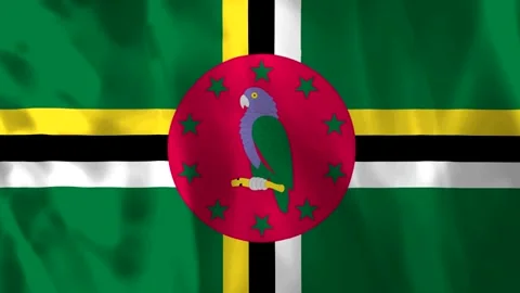 A highquality realistic fabric texture of the national flag of Dominica wav.. Vídeo Stock 343581637