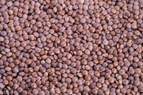 Highresolution image showcasing textured brown lentils with warm tones, Extreme Stock Photos