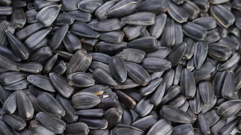 Highresolution macro image showcasing seed shell ridges and sheen, Close detail Stock Footage 325648866
