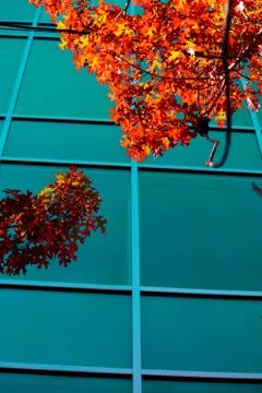Highrise building windows reflection Stock Photos