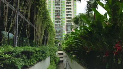 Highrise Tower View From Green Flush Alley Stock Footage 311104091