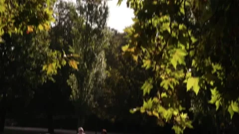 Highs of up to 42 degrees in 14 of France's hundred departments, París, FR - 12  Stock Footage 314717247