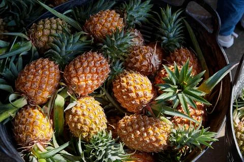 Hight angle view of ripe pineapple in basket Stock Photos